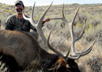 2012 Elk Hunts