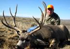 2012 Trophy Mule Deer Hunts