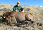 2014 Cow Elk Hunts
