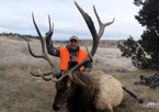 2018 Rifle & Archery Bull Elk Hunts