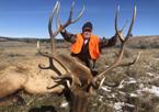 2019 Rifle & Archery Bull Elk Hunts