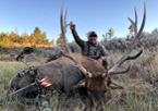 2020 Rifle & Archery Bull Elk Hunts