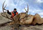 2021 Bull Elk Hunts