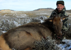 2016 Cow Elk Hunts